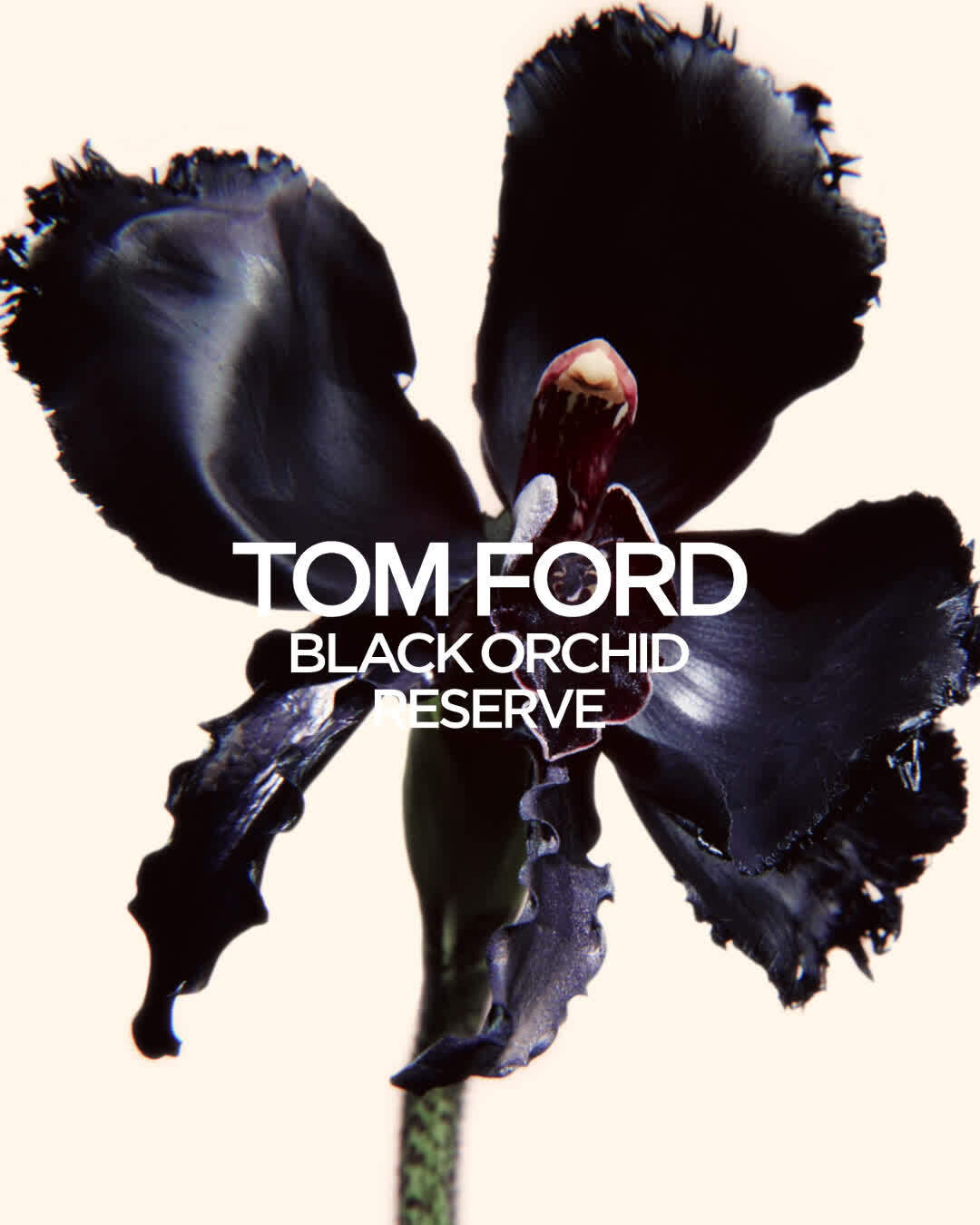 Black Orchid Reserve Parfum TOM FORD BEAUTY